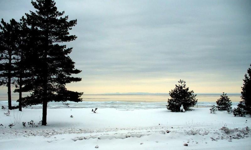 Beachfront Hotel Houghton Lake Doğa fotoğraf